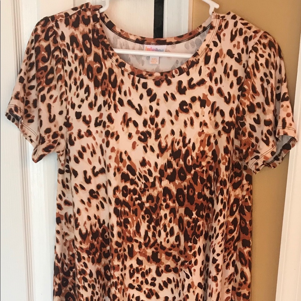 LLR Carly
